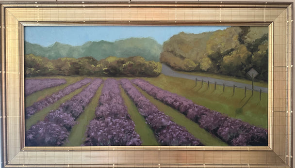 Washington Lavender Fields