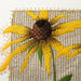 Black Eyed Susan Girls