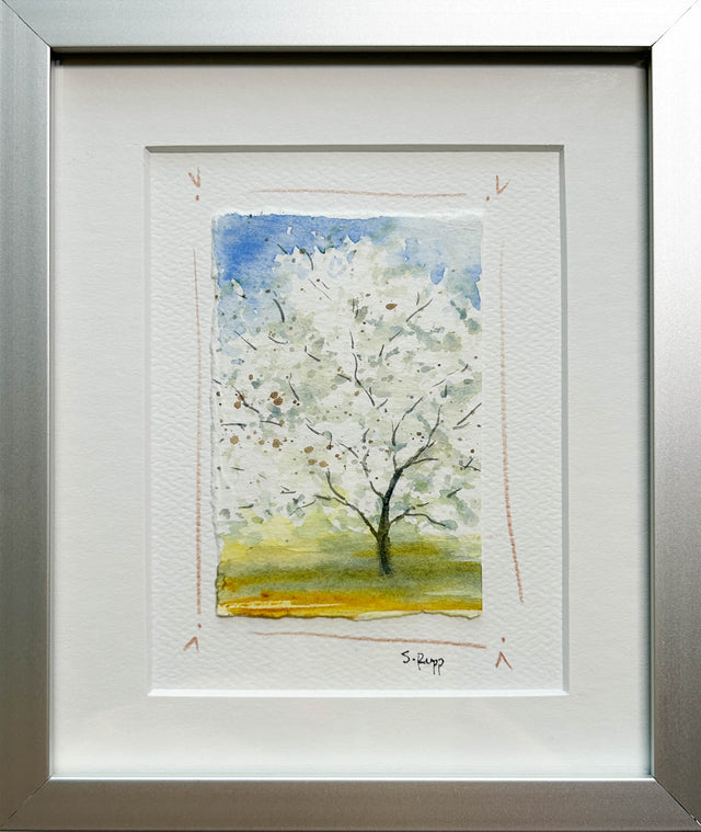 Cherry Blossoms 5 Framed Card