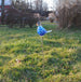 Yard Bird Chickadee Blue